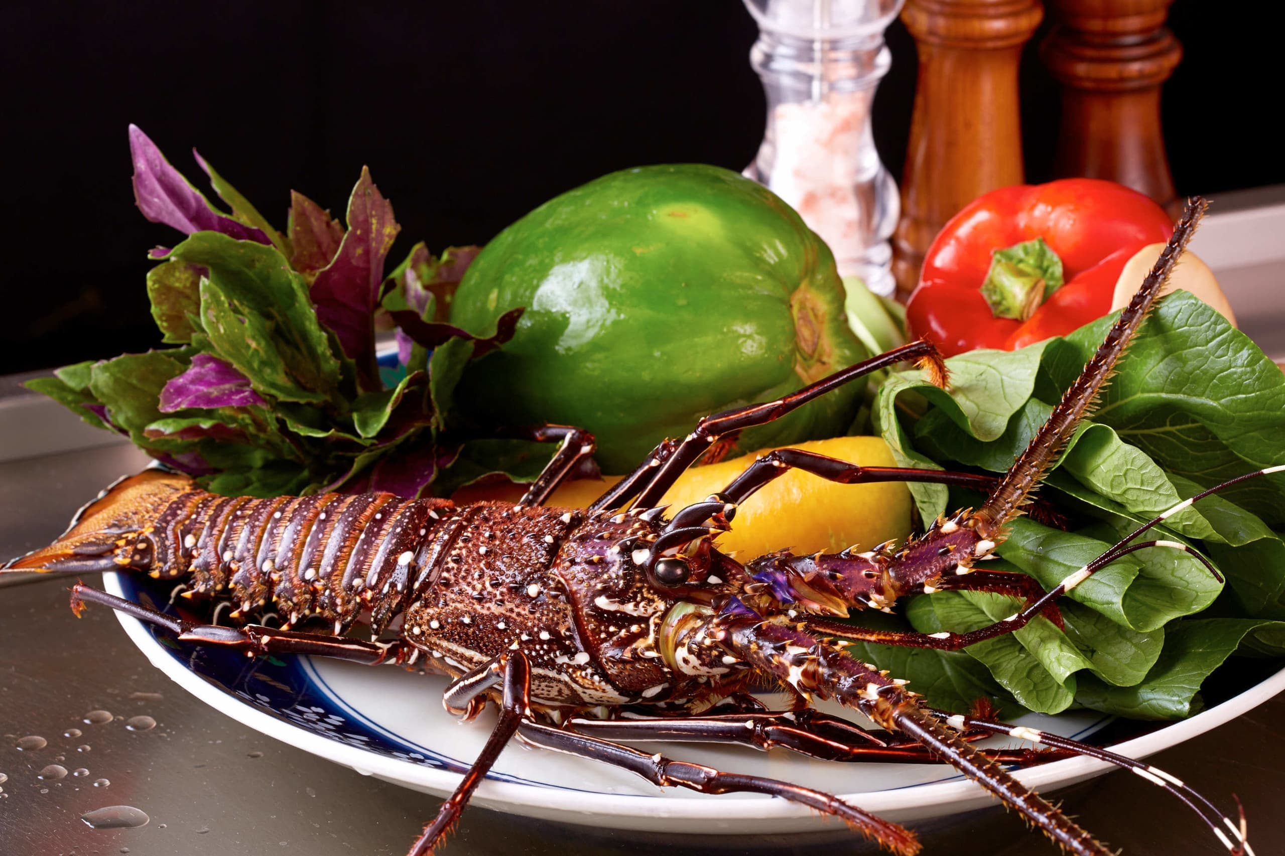 フードイメージ撮影